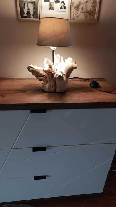 Gotowa lampa z korzenia jałowca